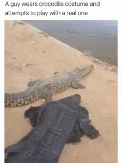 KY7ZJBj.gif