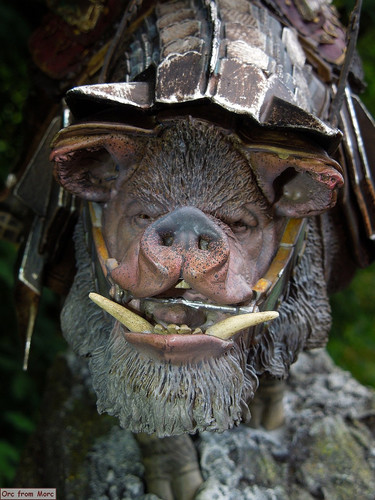002 Dain Ironfoot on War Boar.jpg