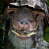 002 Dain Ironfoot on War Boar