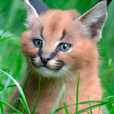 33b6243b bfaa 498a aacb a24d08c9d8b5