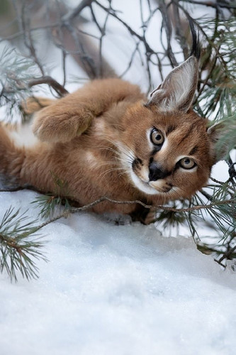 1b0bc286 7bc2 47d8 9f02 9757428dbe4e.jpg