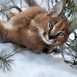 1b0bc286 7bc2 47d8 9f02 9757428dbe4e