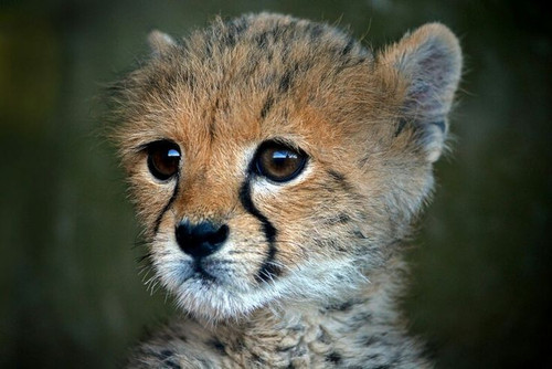 6a63cb61 d491 4964 8872 a6632c50401a.jpg