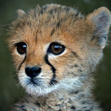 6a63cb61 d491 4964 8872 a6632c50401a