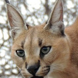 69c98dbc e1e3 4061 a96e 6b740780e1a6