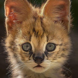 419898d0 ce33 42df 85c3 065cd8287671