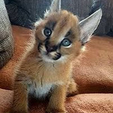 98029b12 a2ea 47a8 af44 0fcfd2899375