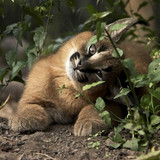 b1dc6a6c a7c3 4032 a273 46753ee992c0