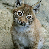 98281734 3cd0 4c72 a407 f94653a3030e