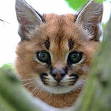 348b0509 eb3c 4ca9 a076 db03147558cd