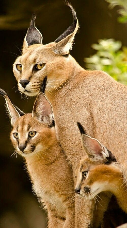 Beautiful Nature.jpg