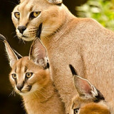 Beautiful Nature