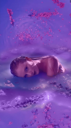 lavender haze.jpg