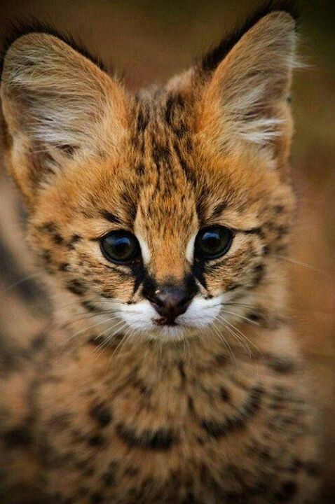 Cute!.jpg