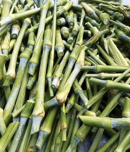 25 02 nak original imagqfwxgwqwh.jpg