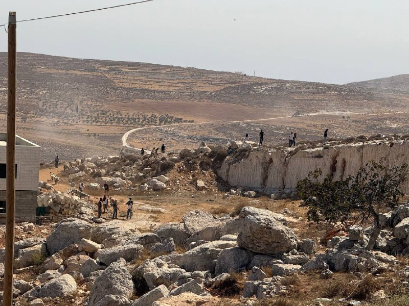 عشرات المستوطنين المسلحين يهاجمون بلدة دير جرير شرق مدينة رام الله...