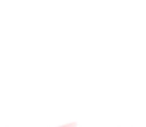 1084.webp