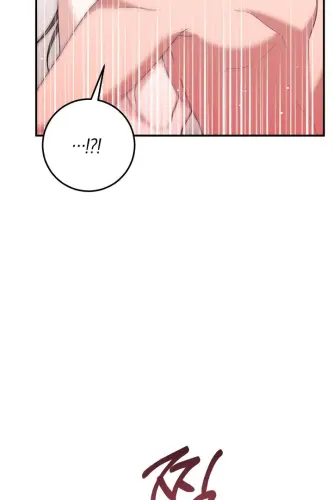 1047.webp