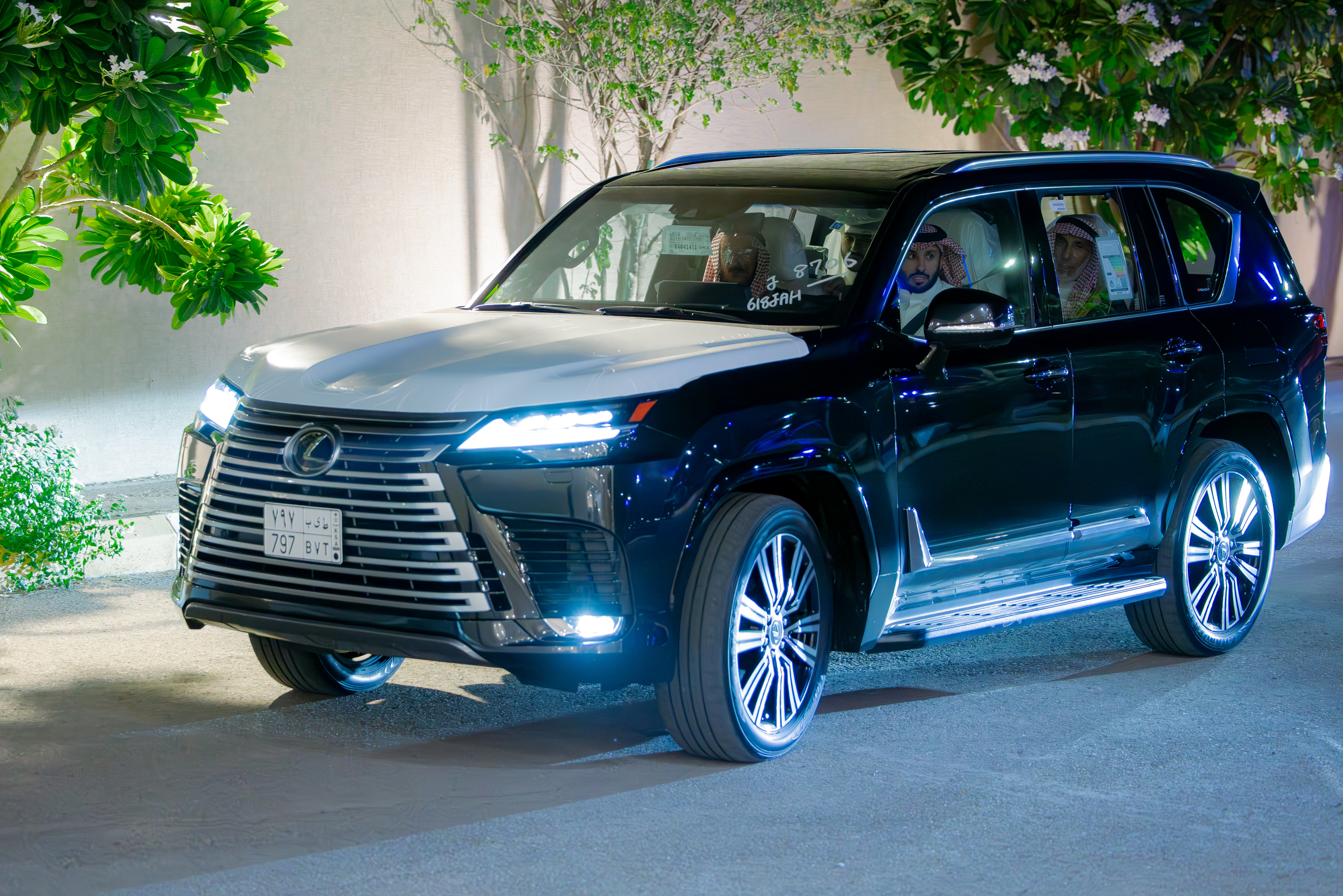 2V7A7880 Enhanced NR