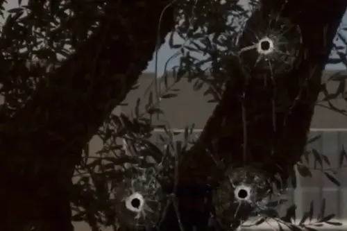 man who shot up the ABC affiliate in Sacramento following the suspension of Jimmy Kimmel, has been i.webp