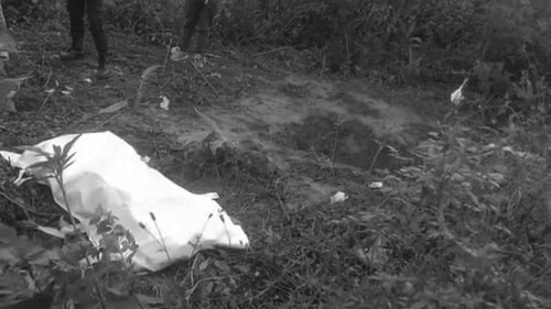 Untitled design (2).png