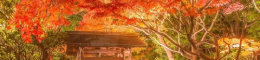 New Project (84).png
