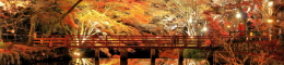 New Project (85).png