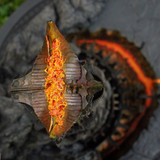 007 Barad Dur with eye