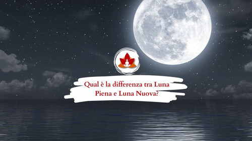 image 750x 6884c78b5fd32.jpg