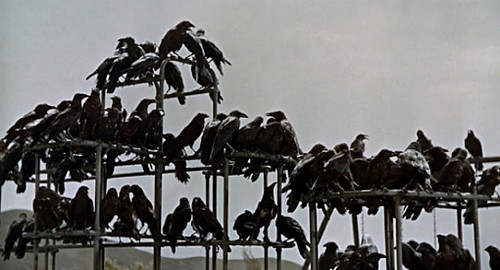 Los pájaros (1968).jpg