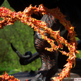 007 BalrogDemon of shadow and flame repainted with whip