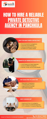HOW TO HIRE A RELIABLE PRIVATE DETECTIVE AGENCY IN PANCHKULA.jpg