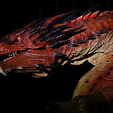 006 Smaug Bust