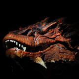 003 Smaug Bust