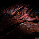 004 Smaug Bust