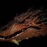 002 Smaug Bust