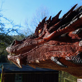 009 Smaug Bust