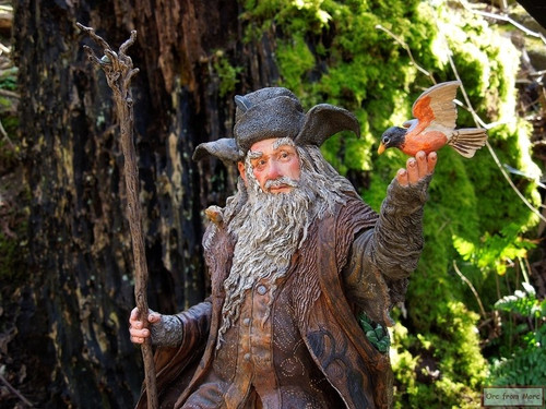 004 Radagast the Brown.jpg
