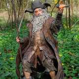 001 Radagast the Brown