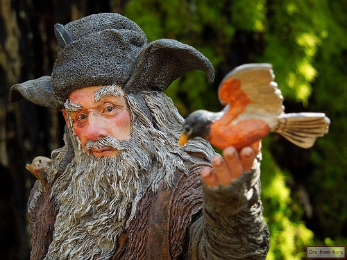 005 Radagast the Brown.jpg