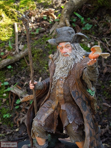 003 Radagast the Brown.jpg