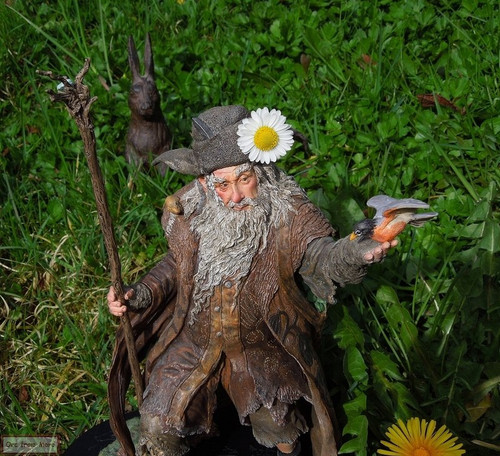 002 Radagast the Brown.jpg