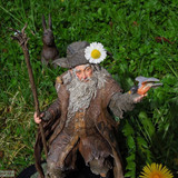 002 Radagast the Brown