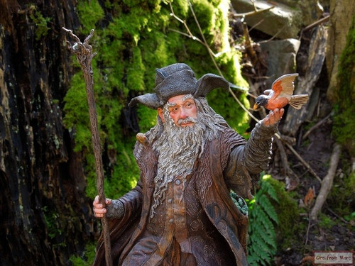 006 Radagast the Brown.jpg