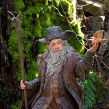 006 Radagast the Brown