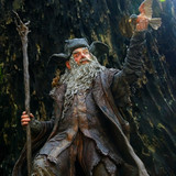 009 Radagast the Brown