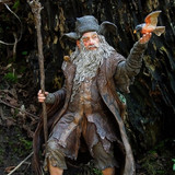 008 Radagast the Brown