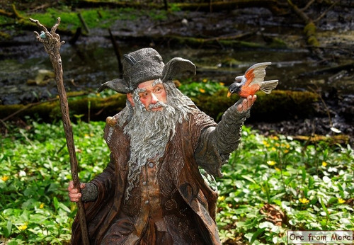 011 Radagast the Brown.jpg