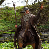 012 Radagast the Brown