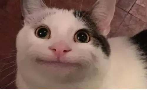 Screen Shot 2024 03 15 at 10.53.41 AM.webp